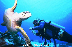 Cozumel 15mm by John Strickland 